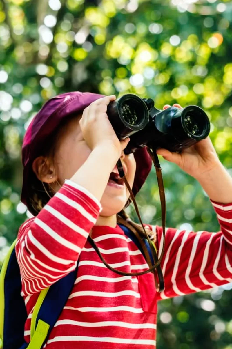 banner-image